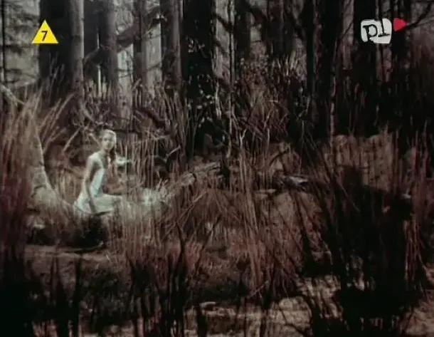 世界电影（0130）波兰电影《华沙美人鱼》（1956）剧照欣赏