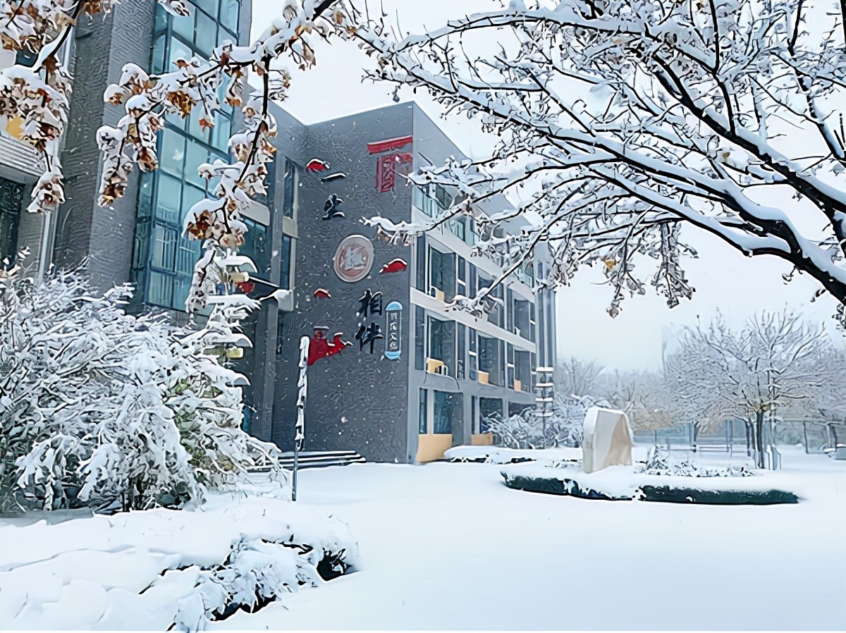 寒假护校进行时：那雪，那雨，还有那些事