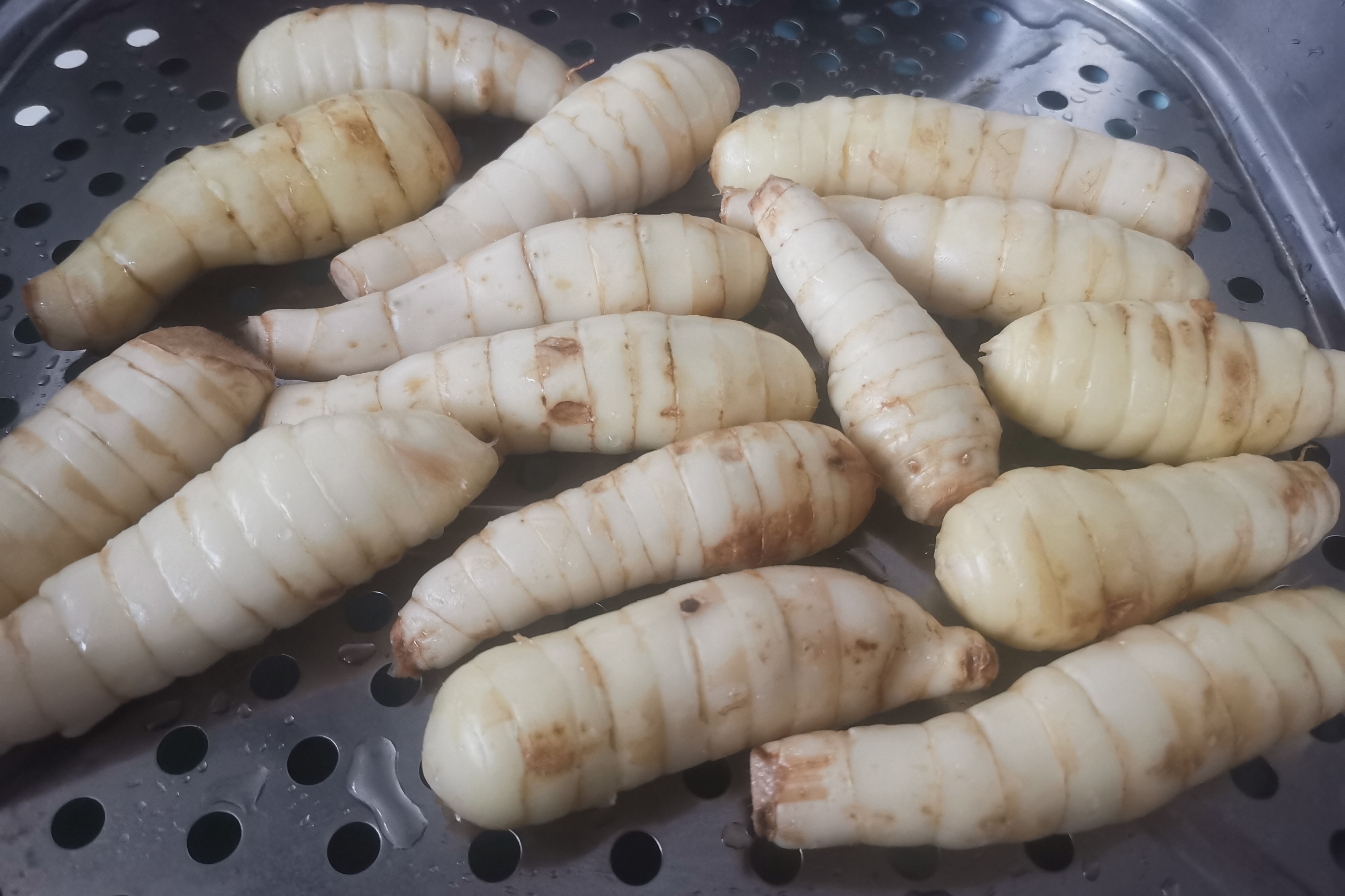 野生凉薯图片功效与作用-我的快乐小窝