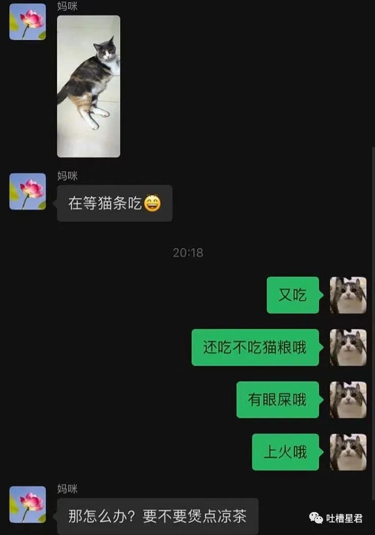 如今无人识