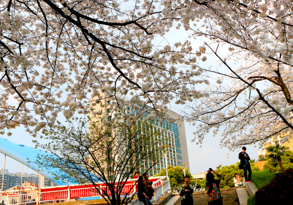 新一轮双一流评选，浙江工业大学希望渺茫，理由有两点