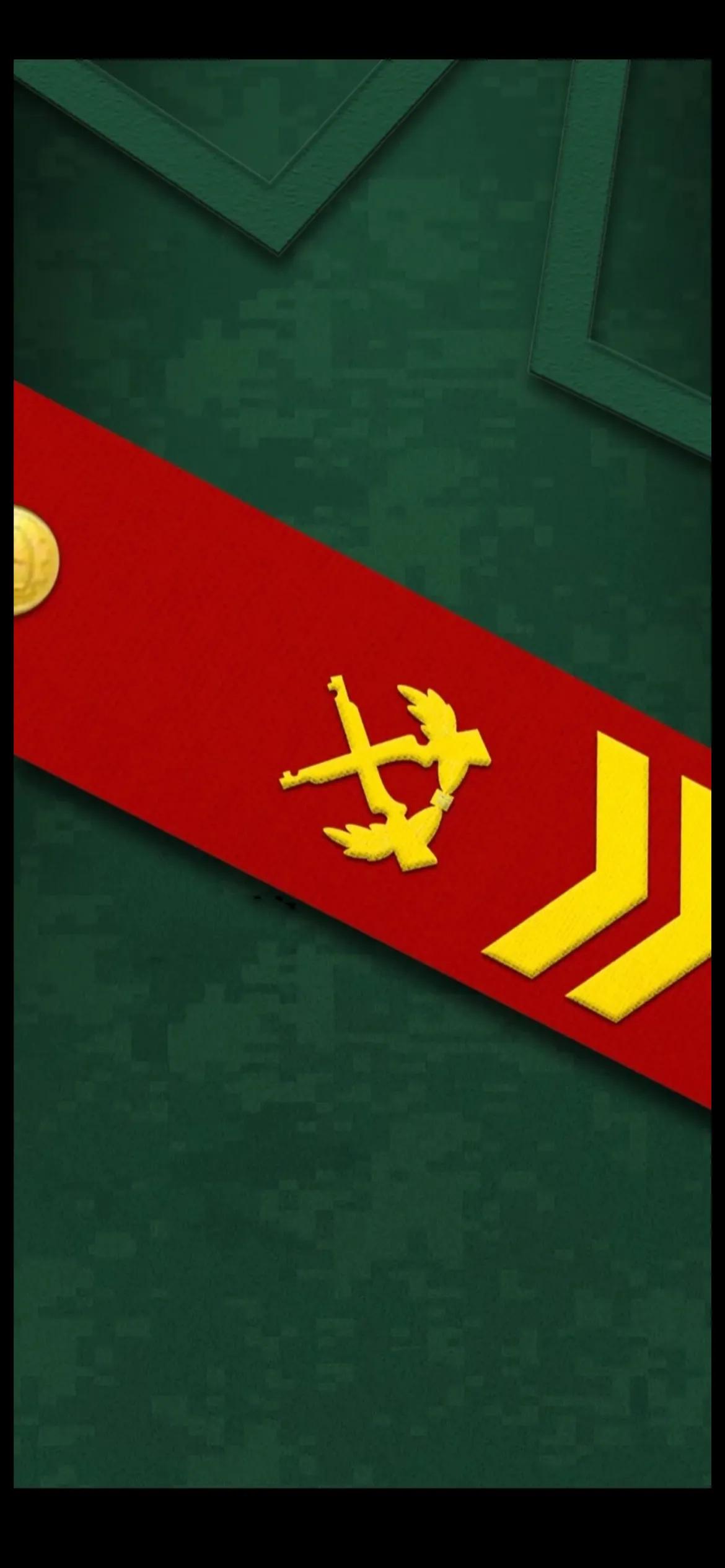 要高清的谢谢大家(手机壁纸|人民武警军衔等级肩章系列全套手机壁纸)