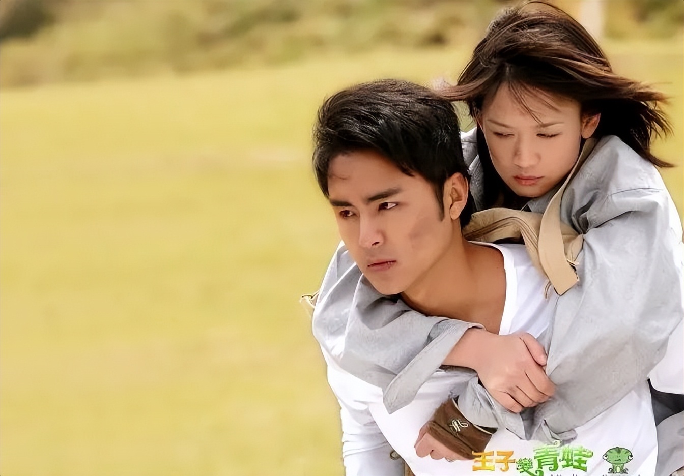 收视最高的10部台湾偶像剧：《天国的嫁衣》第9，《流星花园》第2