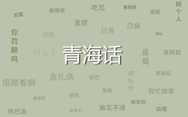 上海话册那是什么意思（上海话册那是骂人吗）-第16张图片-巴山号