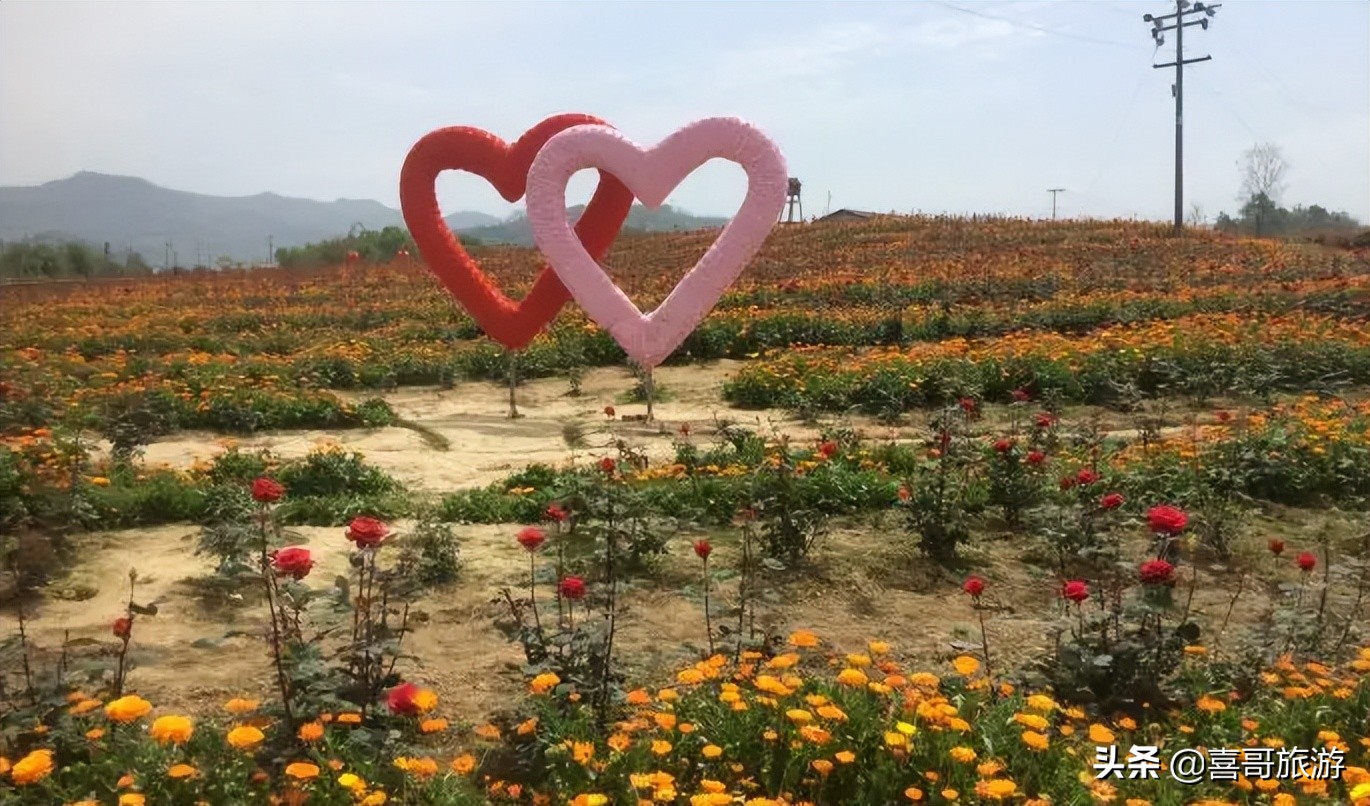 第三天,天府花海-黑龍灘景區-眉山仁壽滑翔基地牛角寨自駕至黑龍灘