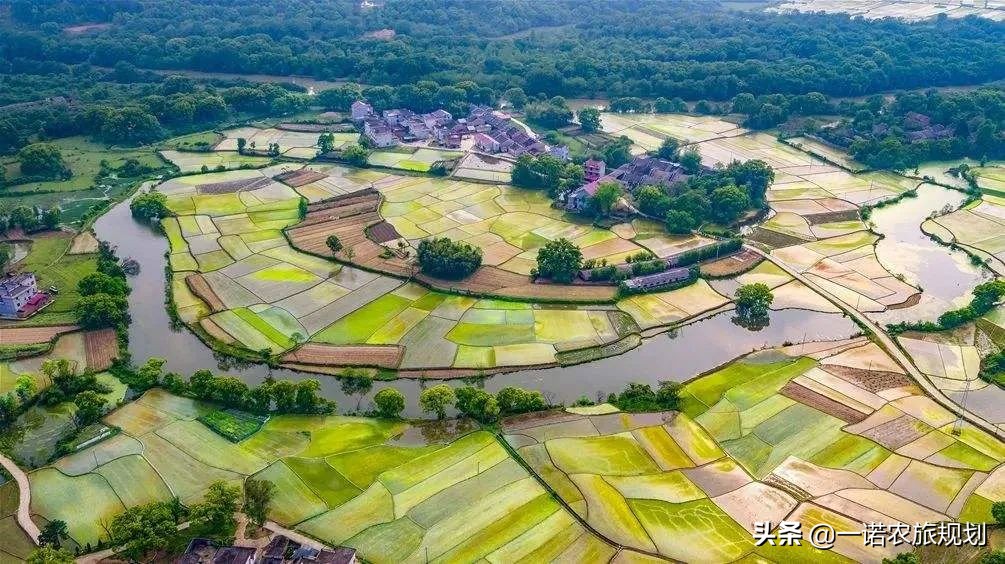 国务院“智囊”：八大问题不解决，乡村振兴无从谈起