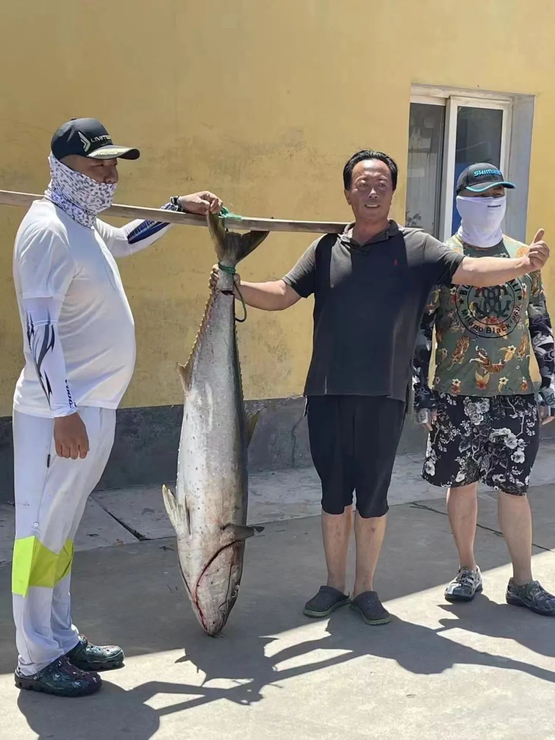 鳀鱼在中国叫什么鱼 鲣鱼是什么鱼-丹霞百科