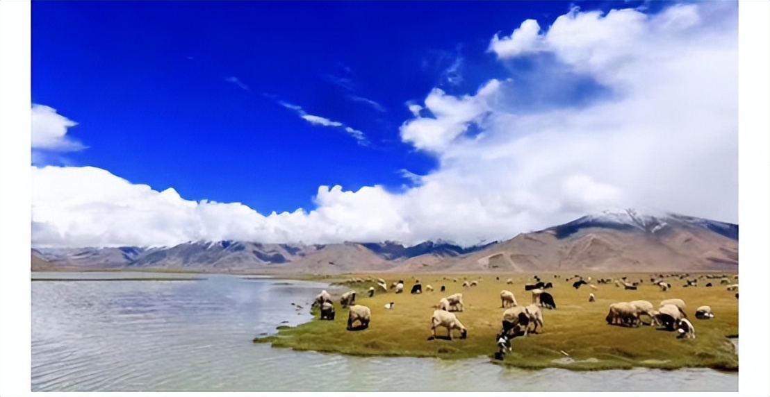 京东白条618购物节携用户通过“订单公益”献爱心