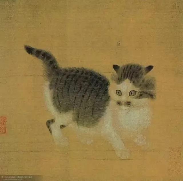 中国梨花猫有什么优缺点呢？