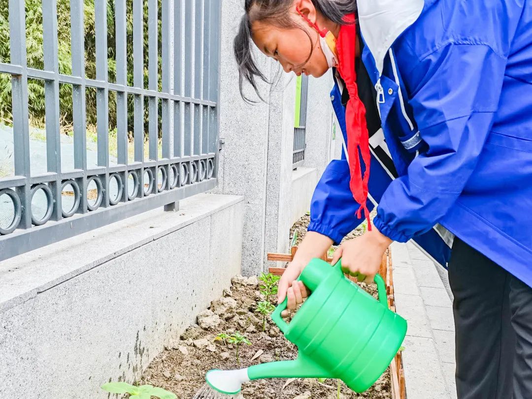 「责任教育 劳动课程」成都市双流区黄甲小学开发特色劳动种植课程