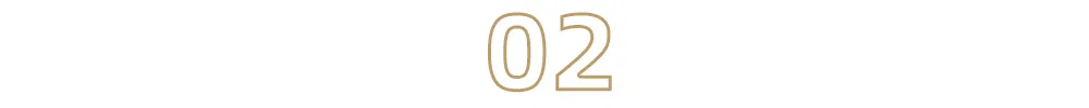 2022年，内容创作者如何获得流量再增长？