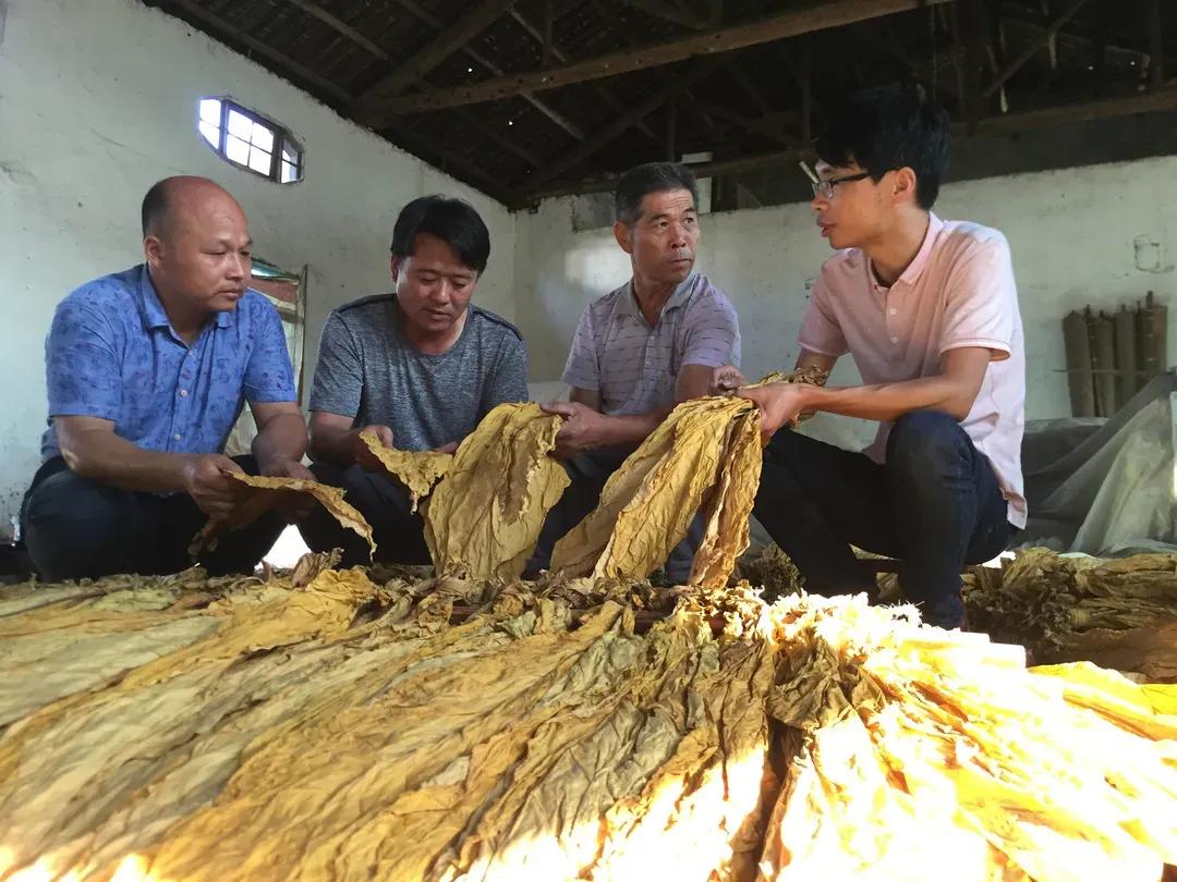 出彩农大人丨植沃土献青春的“农大学子”