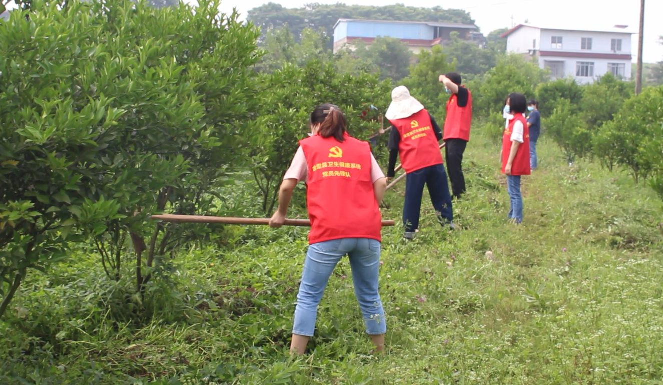 金堂县四医院开展“助力农耕，党员先行”主题党日活动