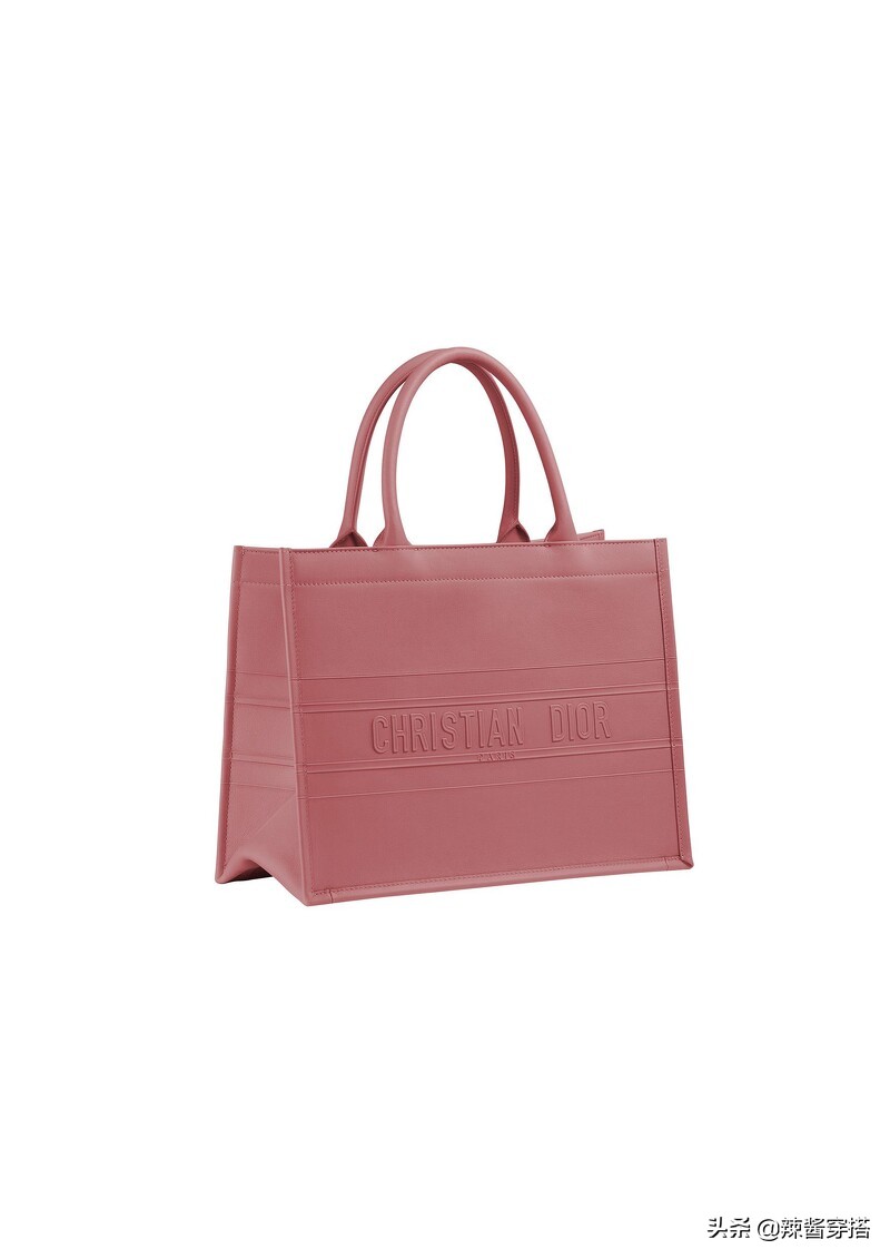 Dior Saddle、Book Tote到最新Micro Bag，一定要认识的5大经典包