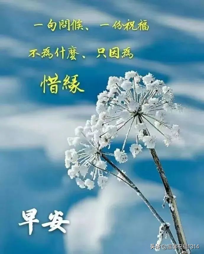 早安吉祥！唯美好看的风景早安问候带字，美好祝福群发朋友推荐