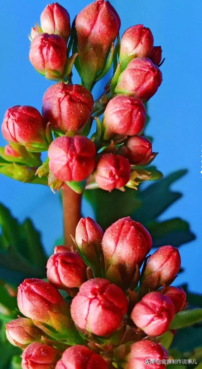 一路鲜花相伴，一路芬芳相随