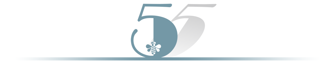 周杰伦新专辑为了显瘦有多心机？郎朗：我没惹你们任何人.