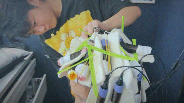 靠女儿上热搜？黄磊夫妇到底在干什么