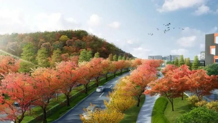 揭秘！为何选择南京大学苏州校区？七大报考理由，多数人难以拒绝！