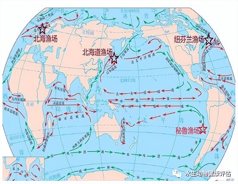 北海道渔场（北海道渔场盛产的鱼类）-第1张图片-昕阳网