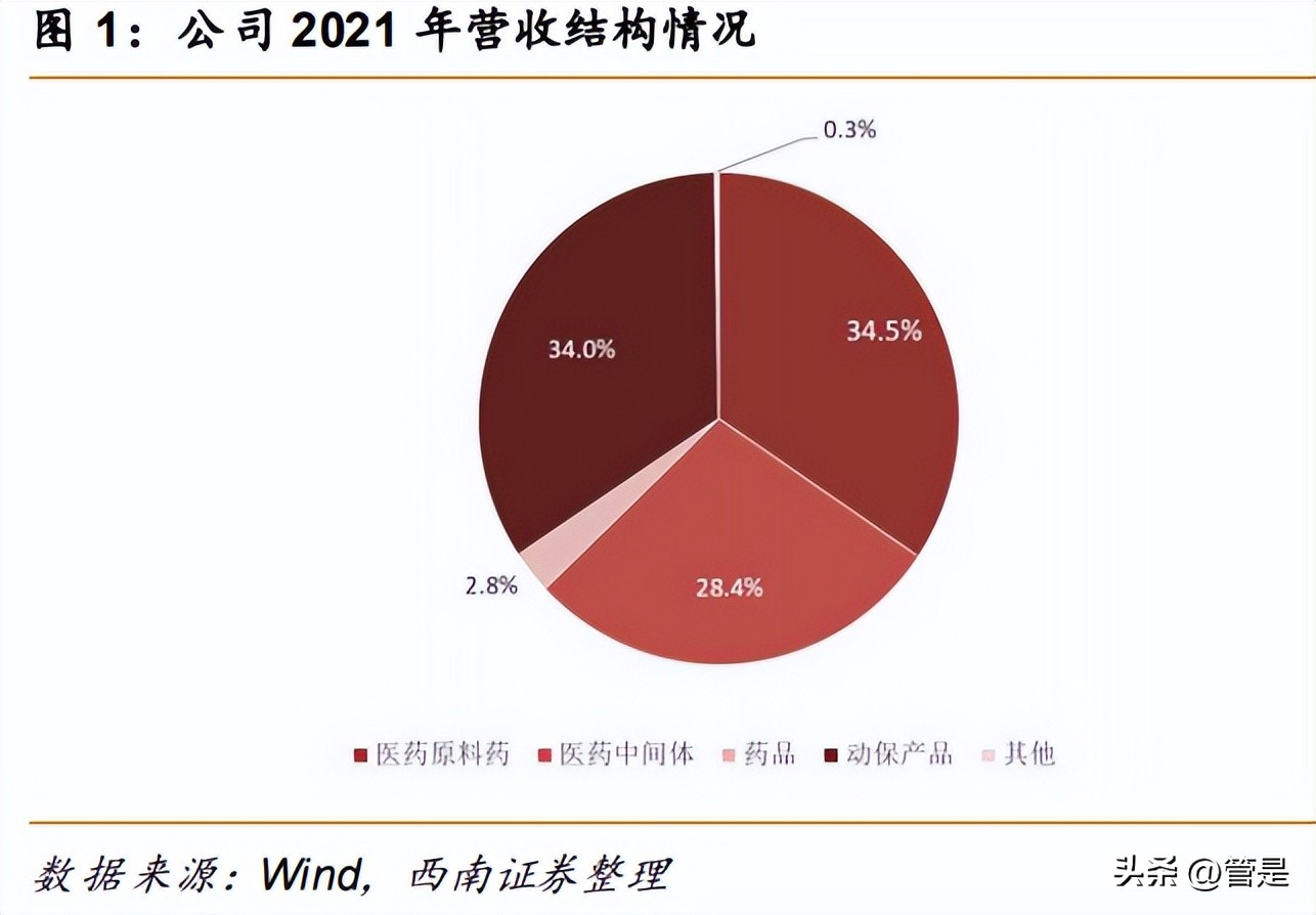 国邦医药研究报告：平台铸优势，守正出新奇