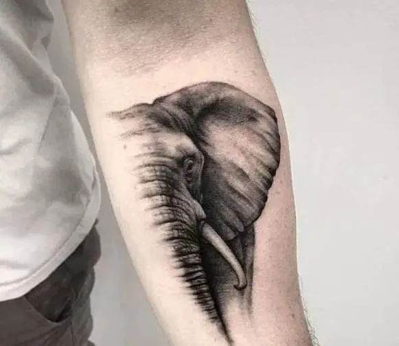 tattoo | 寓意吉祥的大象纹身