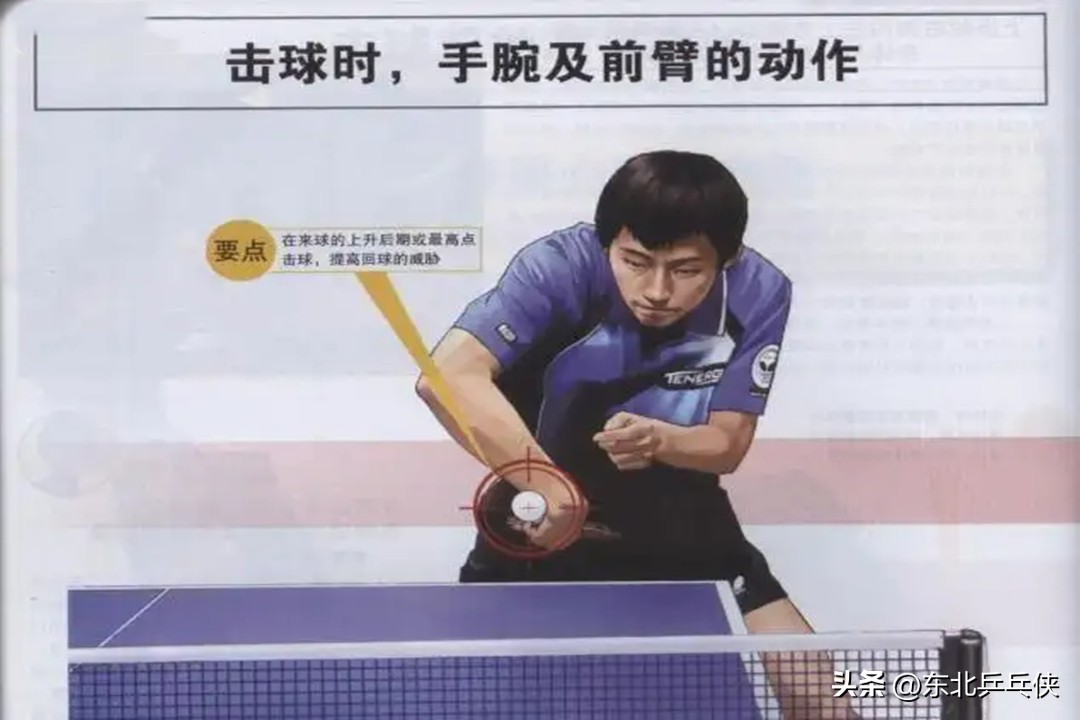 乒乓球逆旋轉(zhuǎn)球怎么接（乒乓球“旋轉(zhuǎn)球”難接？只要讀懂這四種旋轉(zhuǎn)，接發(fā)球從此不再難）