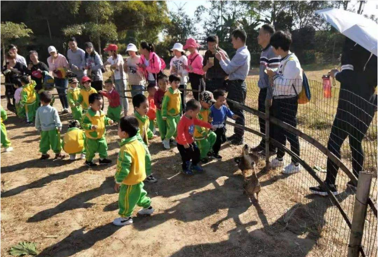 免费春“趣”游萌宠互动表演，趣味抓鸭，网红帐篷踏青…超多免费福利将趣拉满