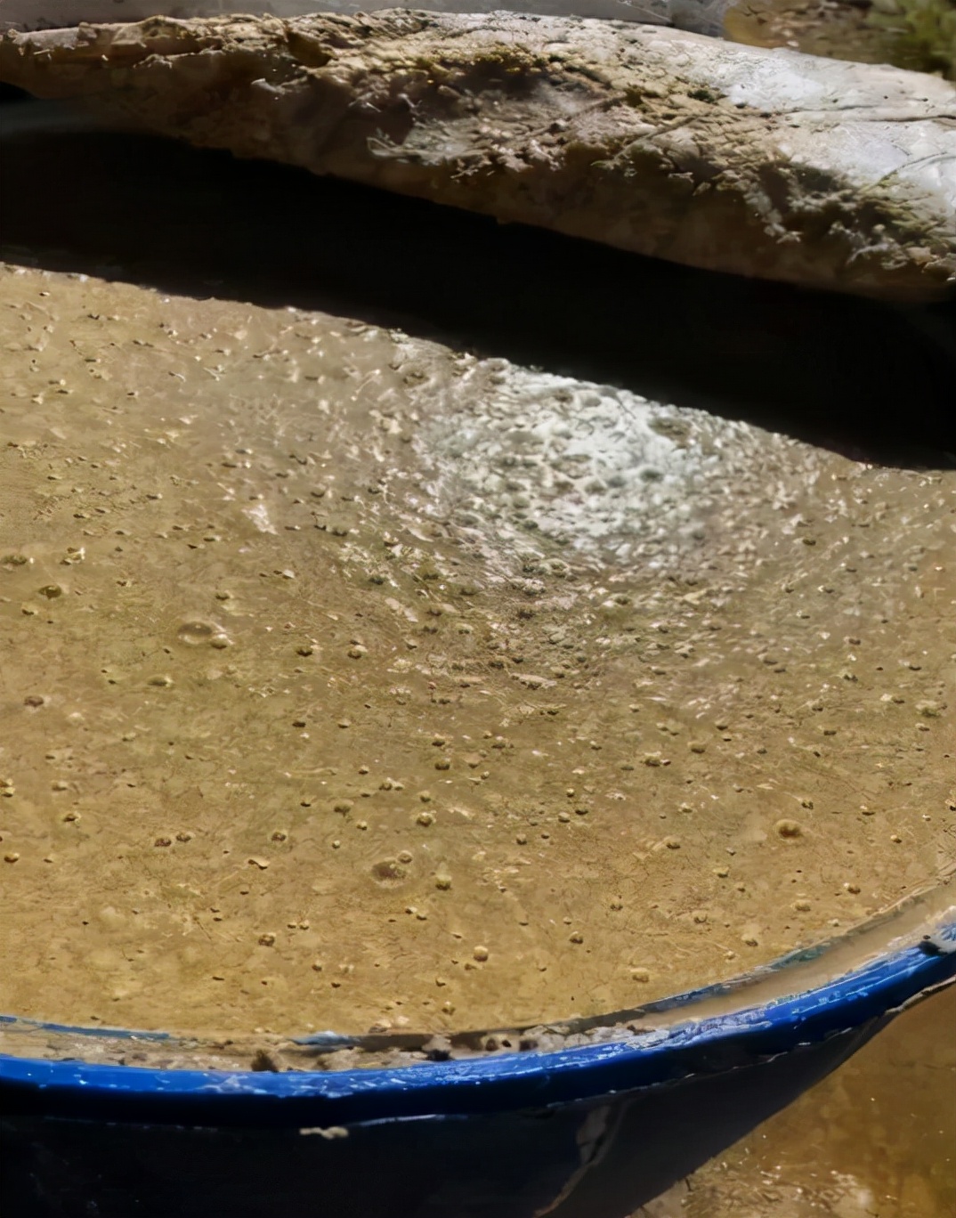 批量化生产“饲料鸡”变成“土味十足”的土鸡，养鸡朋友的福音