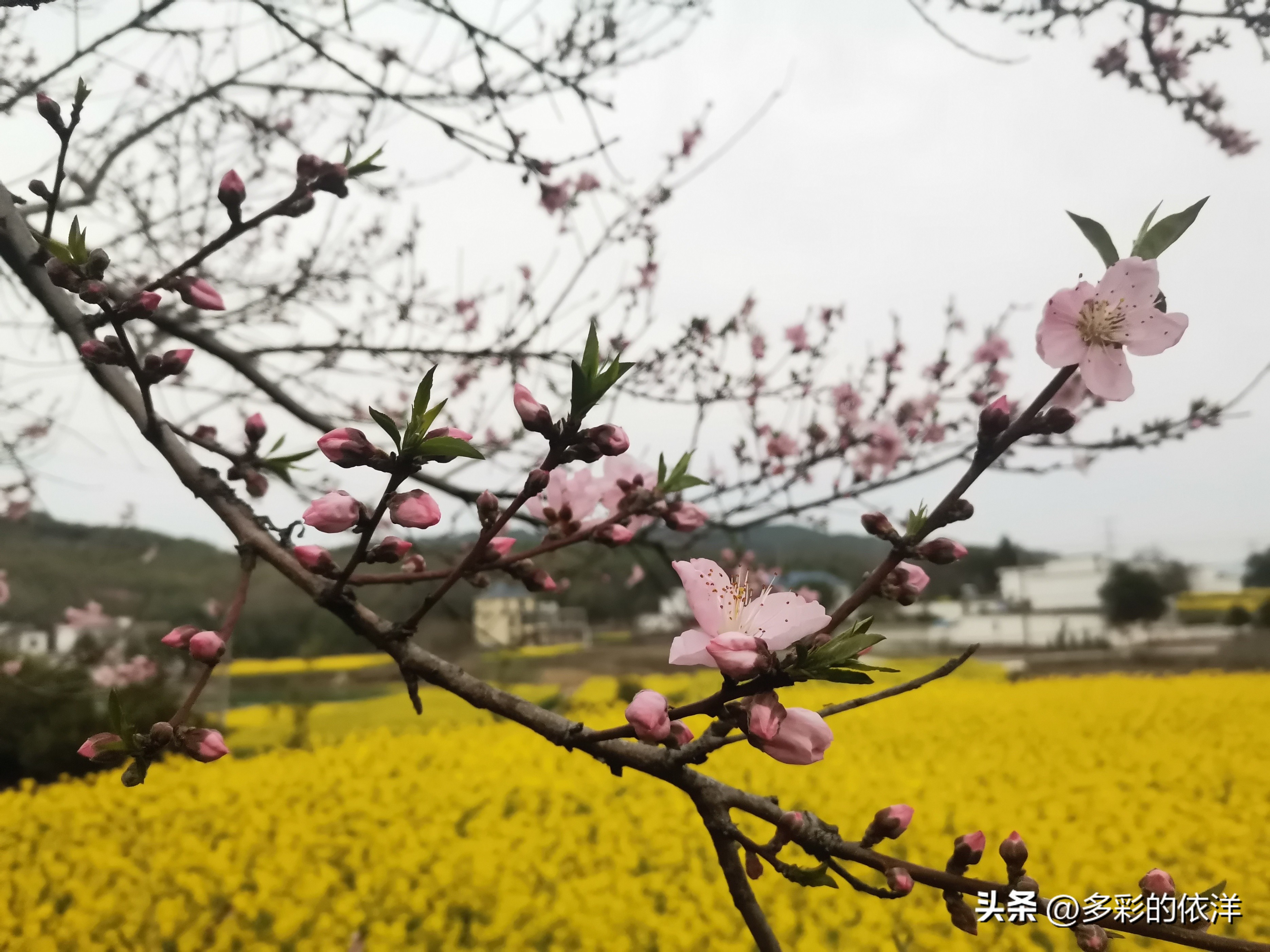 一公里开车需要几分钟（一公里开车需要多少分钟）-第2张图片-巴山号