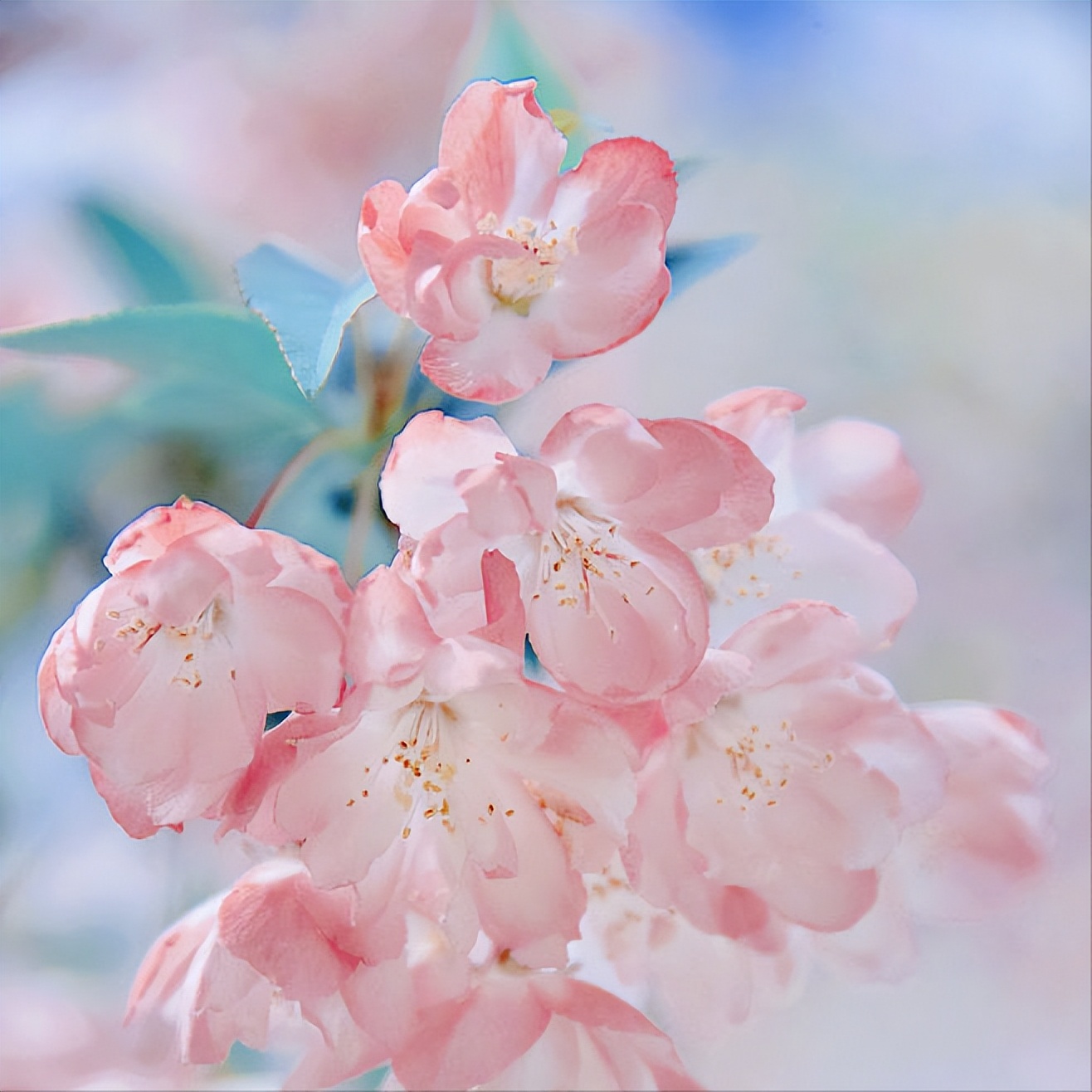 20首最美相思诗词，首首经典，每一首都有一个千古名句