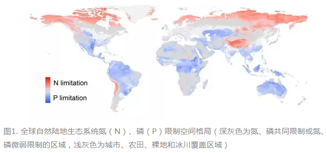 合作斯坦福教授！他创“全球首次”，成果引发国际关注，入选国家级名单！