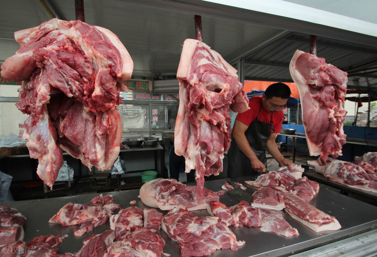 生猪价格全面飘红，猪价开始反弹上涨，1月17日全国最新生猪行情