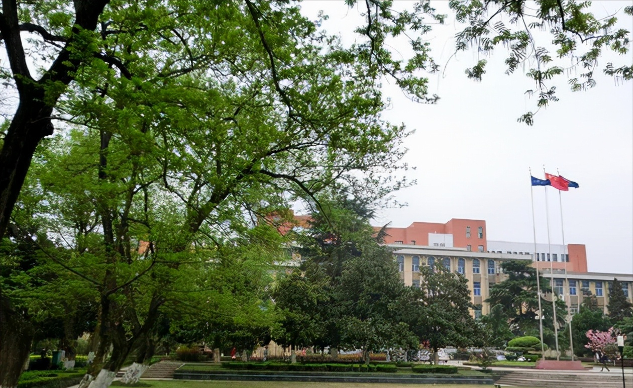 中科大主动裁撤热门专业：从不在乎排名，“摊大饼”摊不出双一流