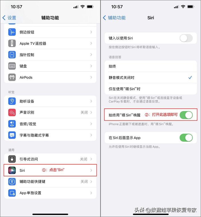 苹果的siri怎么唤醒（苹果的siri唤醒不了怎么办）-第2张图片-巴山号