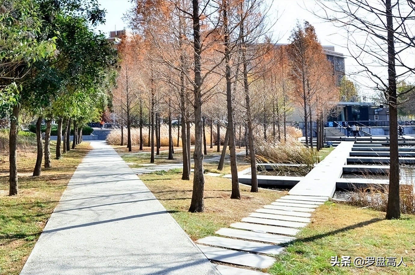 更多的大学校园老照片,可点击合集或以下的标题继续浏览阅读:高校影像