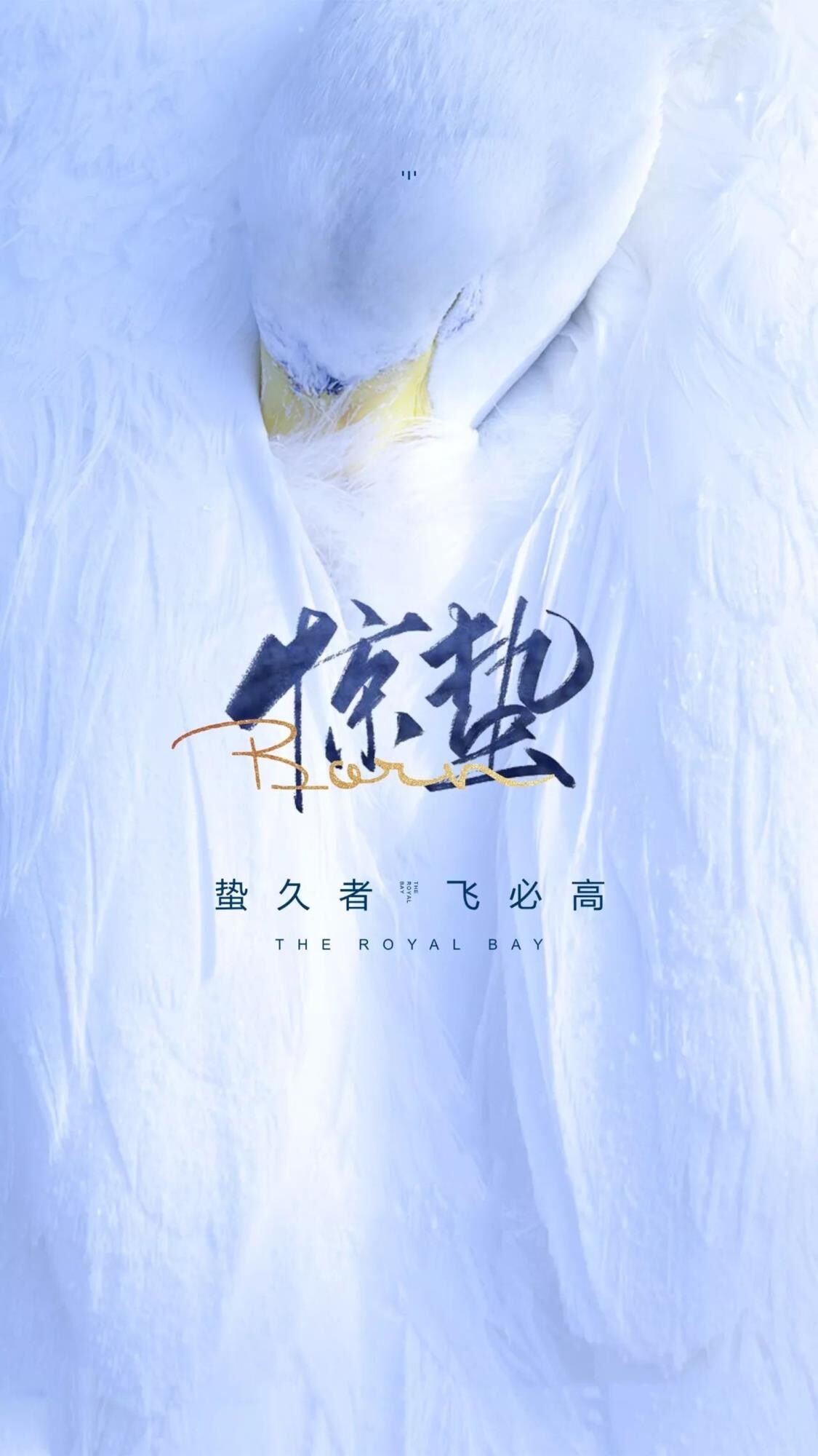 微雨众卉新，当春起蜇虫—惊蛰，春雷隐隐万物动，飞龙在天正觉醒
