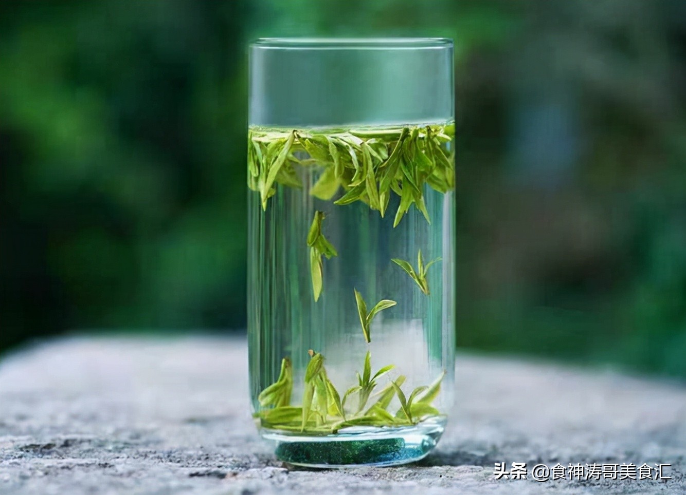 大茶叶，大茶叶是什么茶