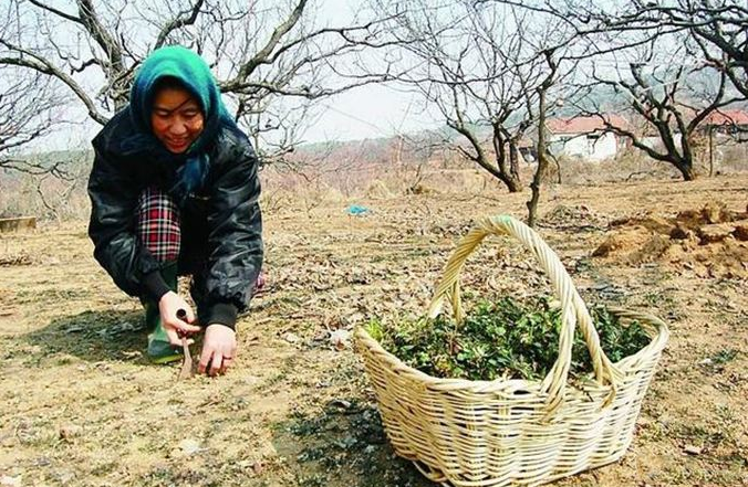 福建农民中彩票五百万之后，想把钱送给自己两个哥哥，妻子不同意