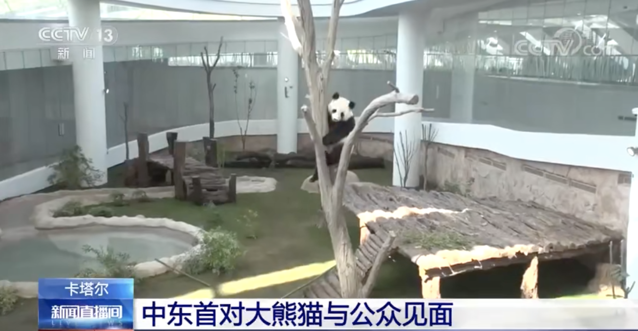 世界杯專用區（這屆世界杯“含中量”有多高？一起去打“卡）