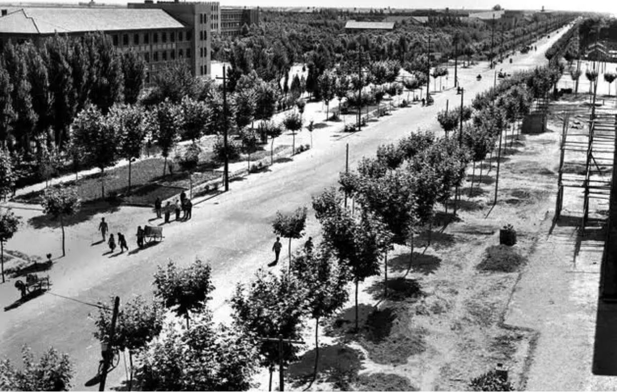 红军团长夫妇战乱分离，54年后妻子在菜摊找到丈夫下落，77岁复合