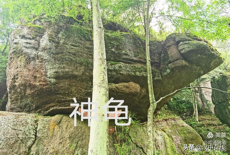 來此處踏青，不負(fù)春光不負(fù)卿
