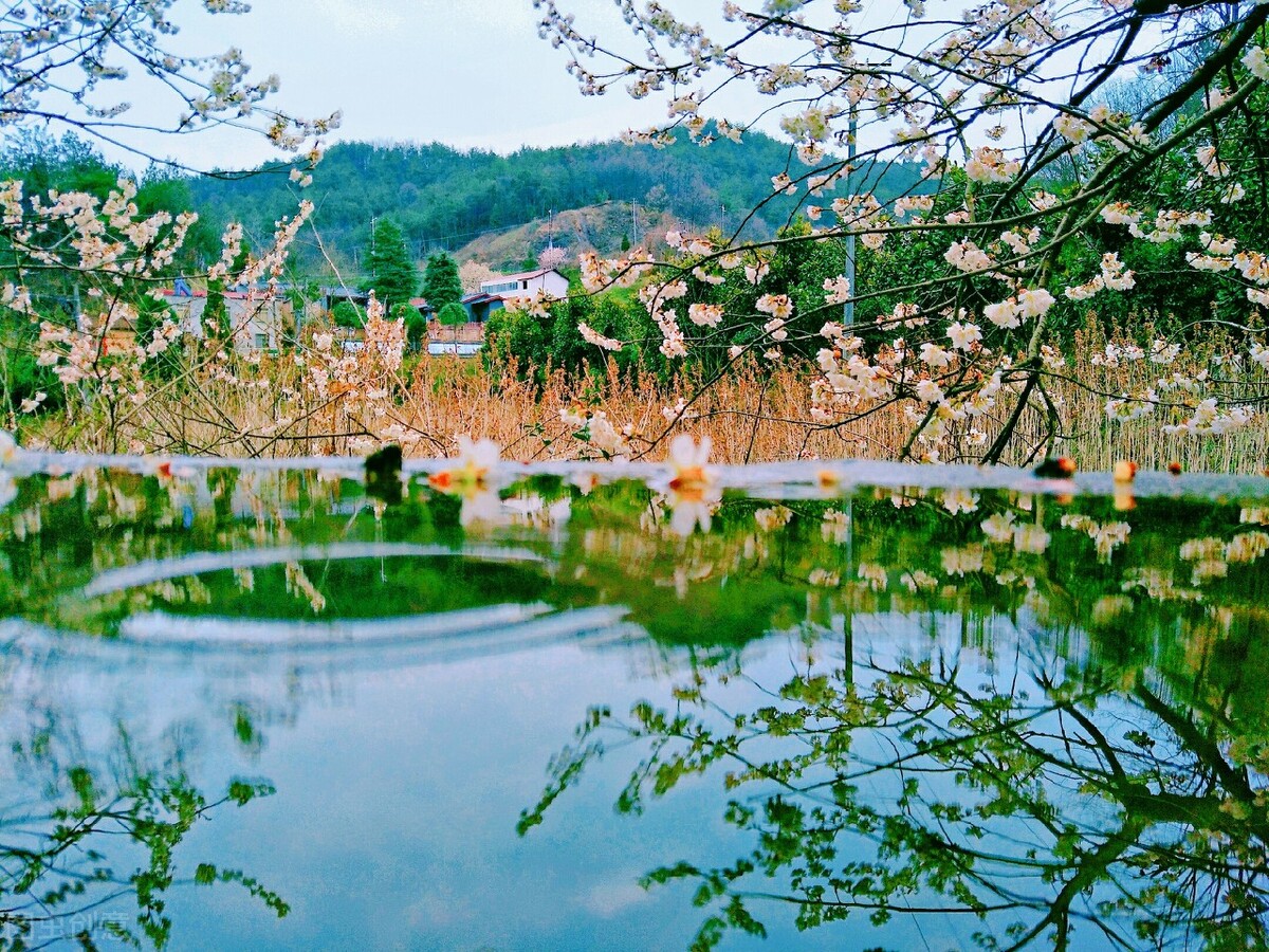形容春天出游的句子(当唐诗宋词遇上春日美景) - 火句子