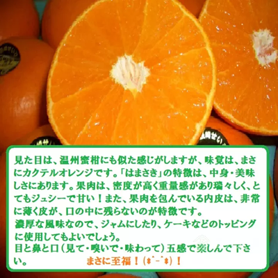 目前最高端的柑桔品种(目前最高端的柑桔品种丽红)