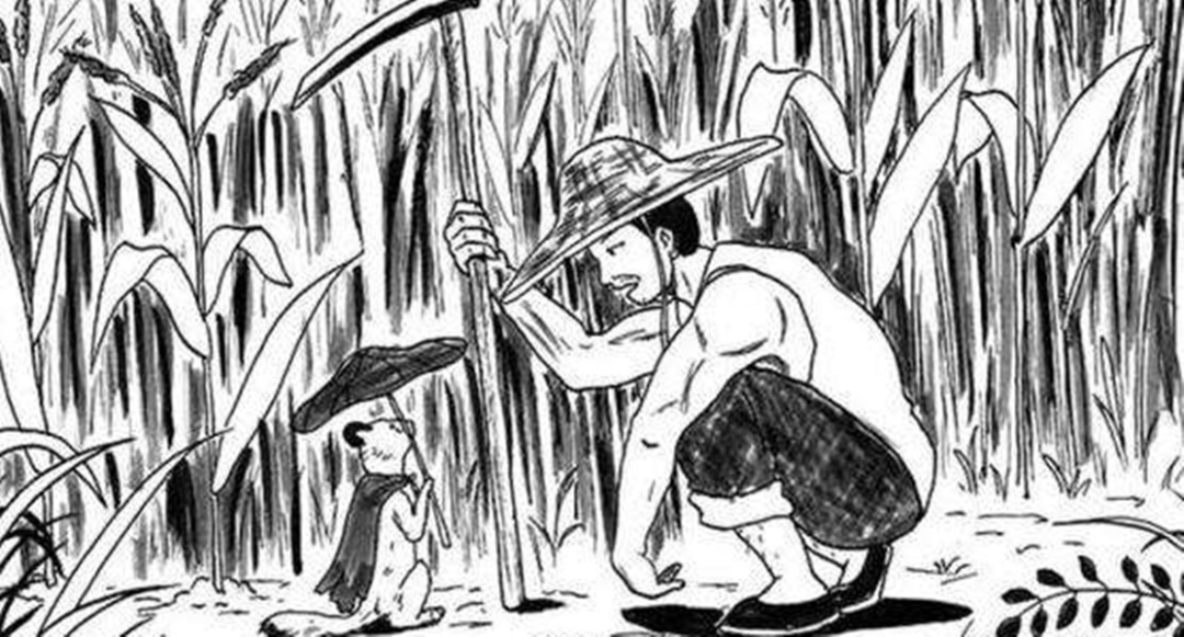 1997年黄鼠狼"讨封"事件,究竟是不是真的?