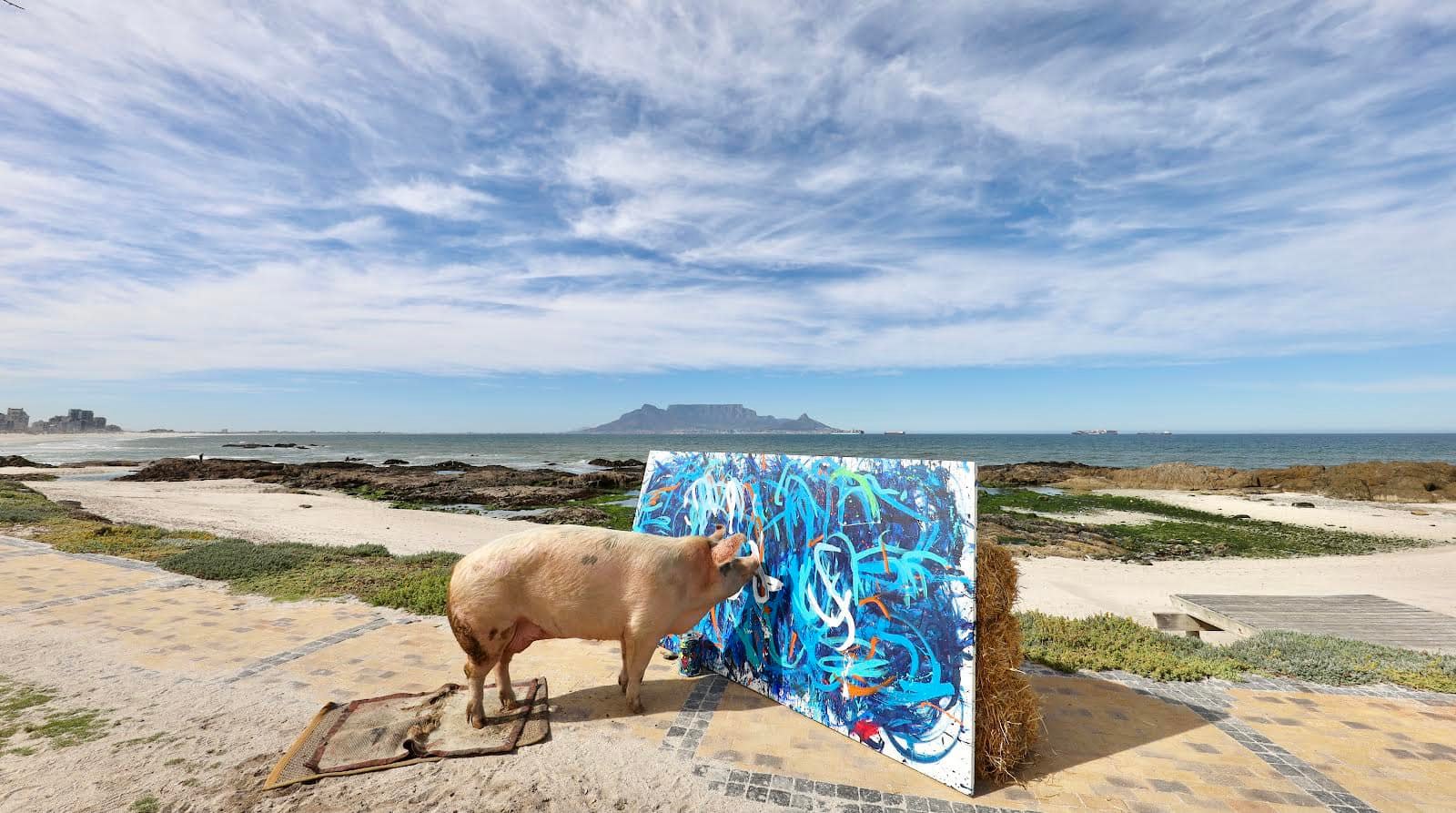 画了一幅画(南非有一头叫猪卡索的猪，画了一幅画，卖了近17万人民币)