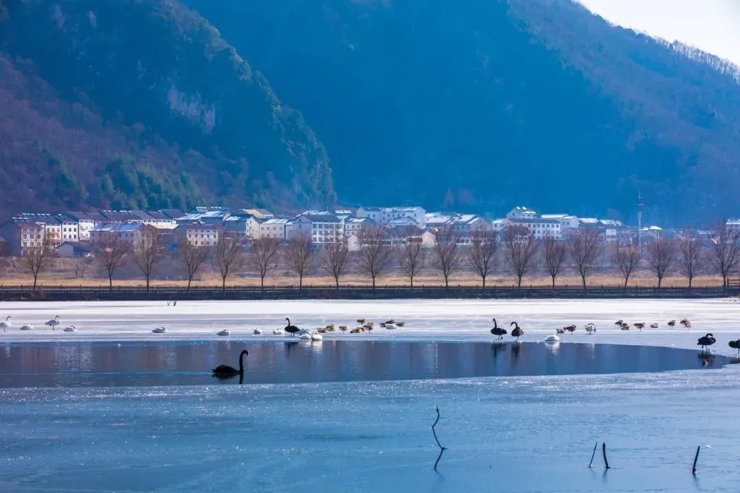 武汉有滑雪场吗(武汉周边竟然有这么多滑雪场！你去过吗？)