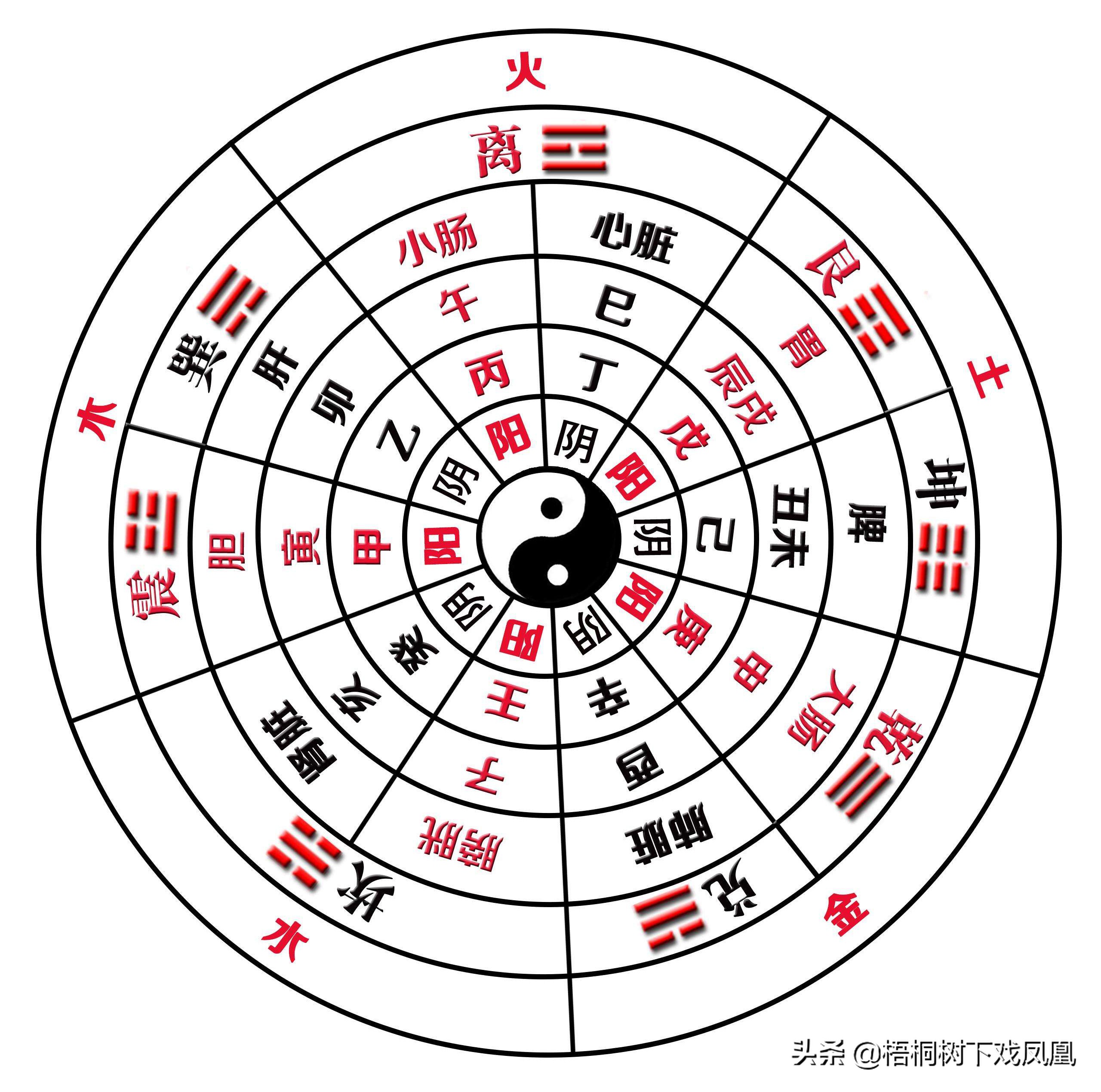 天干地支22个字咋来的？专家从甲骨文中全部识出，但字形变化太大