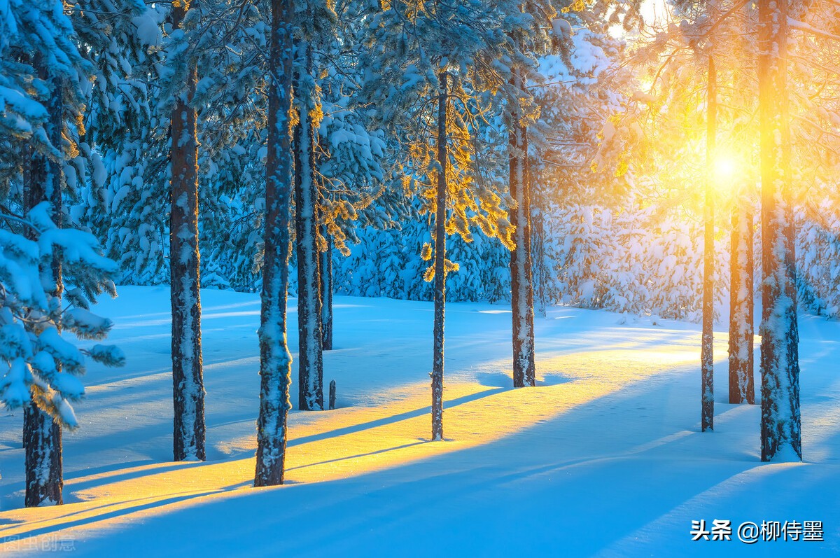 迎接2022年的第一场雪，学习3个摄影技巧，把雪景照片拍得更漂亮