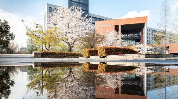 临床医学高校金字塔排名出炉，华中大表现亮眼，山大仅排第四